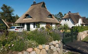 Ferienhaus Seeadler 9